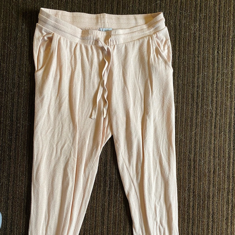 Light Pink Z Supply Sweat Pants